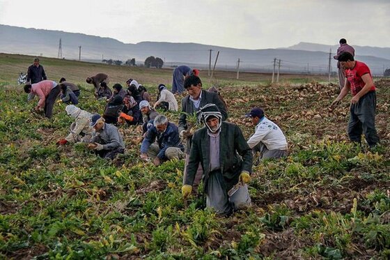 حقوق اردیبهشت ماه مستمری بگیران واریز شد