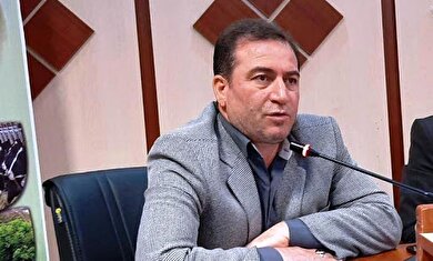 مدیرکل سابق امور عشایر استان ایلام مطرح کرد؛ بیمه عاملی برای حفظ زندگی عشایری است