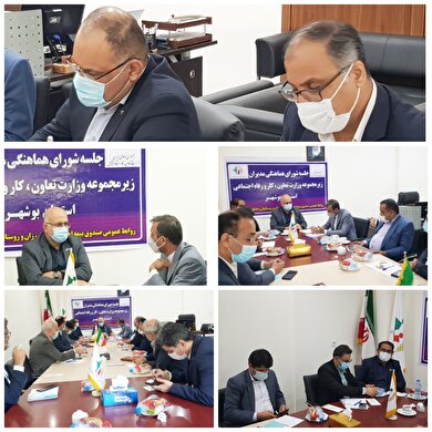 شورای هماهنگی وزارت تعاون، کارو رفاه اجتماعی و نماینده مجلس شهرستانهای دشتی و تنگستان برگزار شد
