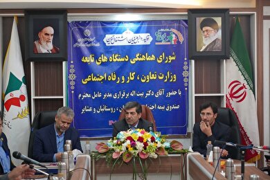 ضرورت ایجاد هم افزایی‌ بین‌ دستگاه های مختلف در کشور