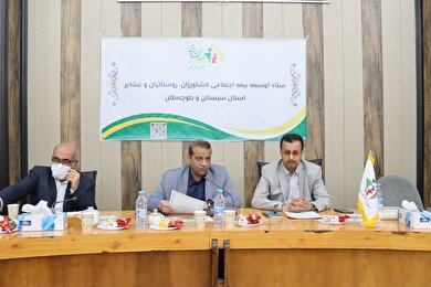 بیمه‌های اجتماعی از مولفه‌های مهم توسعه پایدار هستند