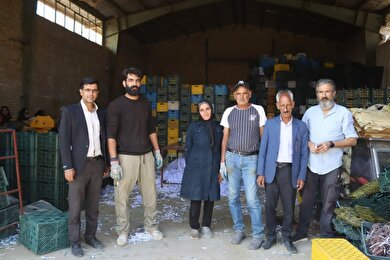 تلاش برای گسترش چتر بیمه‌ای در استان کهگیلویه و بویراحمد