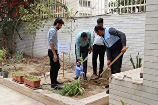 کاشت درخت آتیه در هرمزگان به مناسبت روز درختکاری