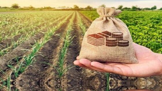 عضویت ۳۳ هزار بوشهری در صندوق بیمه اجتماعی کشاورزان، روستائیان و عشایر استان بوشهر