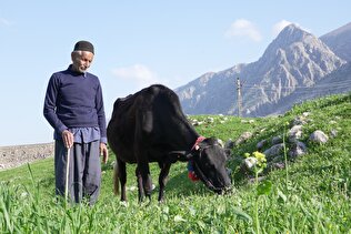 مستمری دی ماه واریز شد