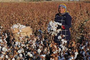 خراسان شمالی؛ گنجینه فرهنگ ها