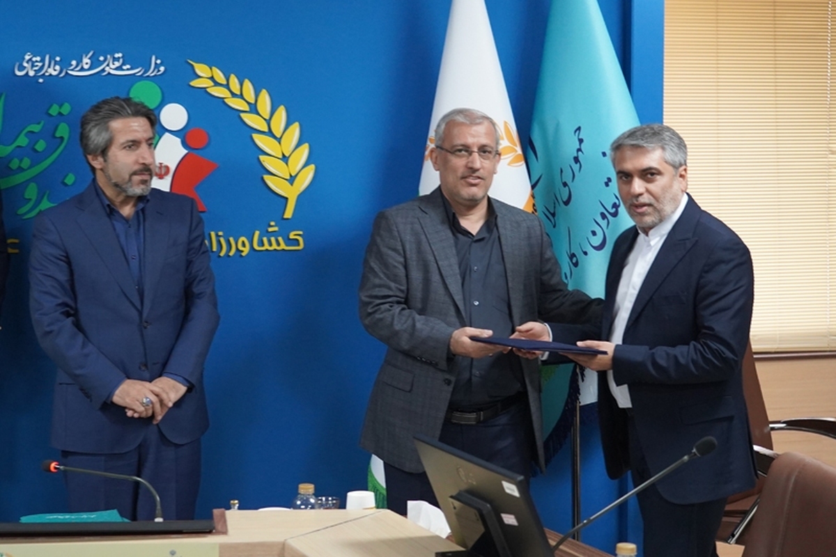 با حکم مشاور وزیر و رئیس مرکز حراست وزارت تعاون، کار و رفاه اجتماعی، سید جواد خناری نژاد به عنوان سرپرست حراست صندوق انتصاب شد.