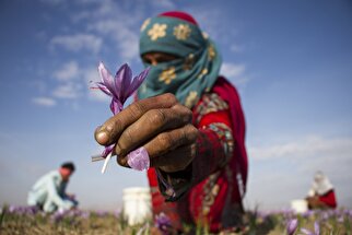 تصاویر کشاورزان، روستائیان و عشایر