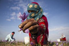 تصاویر کشاورزان، روستائیان و عشایر