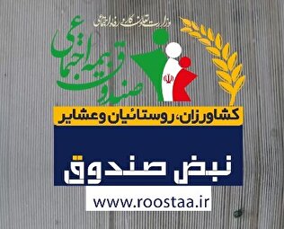 نبض خبر 4 - شهریور 1404