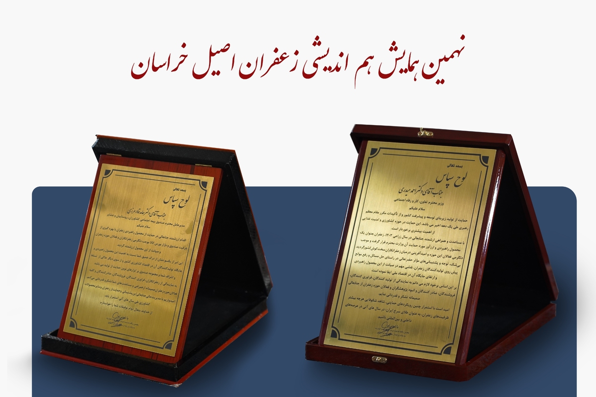 محسن زنگنه نماینده مردم شریف تربت‌حیدریه، مه‌ولات و زاوه در مجلس شورای اسلامی با اهدای لوح تقدیر از  وزیر تعاون، کار و رفاه اجتماعی و مدیرعامل صندوق بیمه اجتماعی قدردانی کرد.