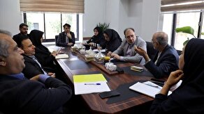 واحد مرکزی خبر: توافق صندوق احیا و صندوق بیمه روستائیان در زمینه بیمه هنرمندان صنایع دستی