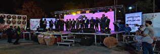برگزاری جشنواره انگور، مبل و منبت در شهرستان ملایر