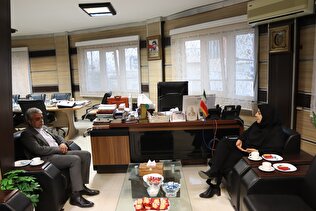 تبادل نظر درباره مزایا و چالش های بیمه اجتماعی قالیبافان در نشست با مدیرکل صمت استان مرکزی