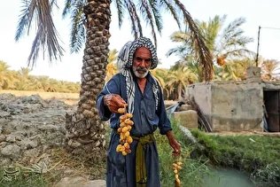 تیزر تبلیغاتی صندوق خوزستان؛ دیار تمدن، سرزمین نفت و نخل و آب و آفتاب