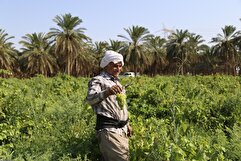 خوزستان؛ دیار تمدن، سرزمین نفت، نخل، آب و آفتاب