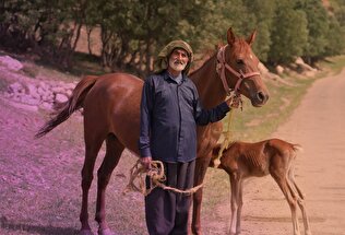 واریز مستمری آبان ماه مستمری بگیران صندوق