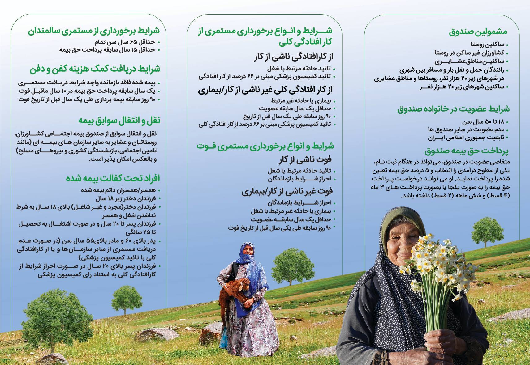 بروشور اطلاع رسانی