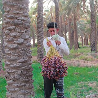 خوزستان دیار تمدن، سرزمین نفت و نخل و آب و آفتاب